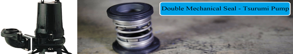 Hoàng Kim – Pump and Mechanical Seal