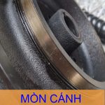 Cánh bơm dầu truyền nhiệt bị mòn