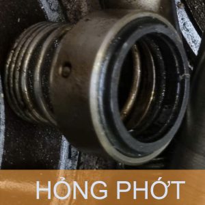 Hỏng Phớt cơ khí máy bơm dầu nóng
