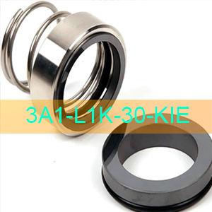 Hilge 3A1-L1K-30-KIE - Phớt bơm thực phẩm Maxa